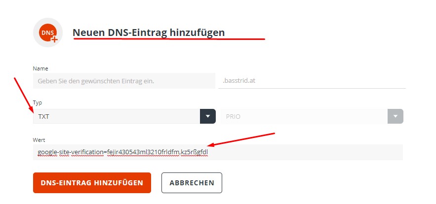 Google Search Console Webseite einreichen mit DNS