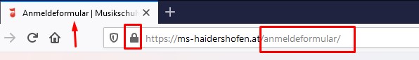 Seitentitel und URL korrekt eingeben